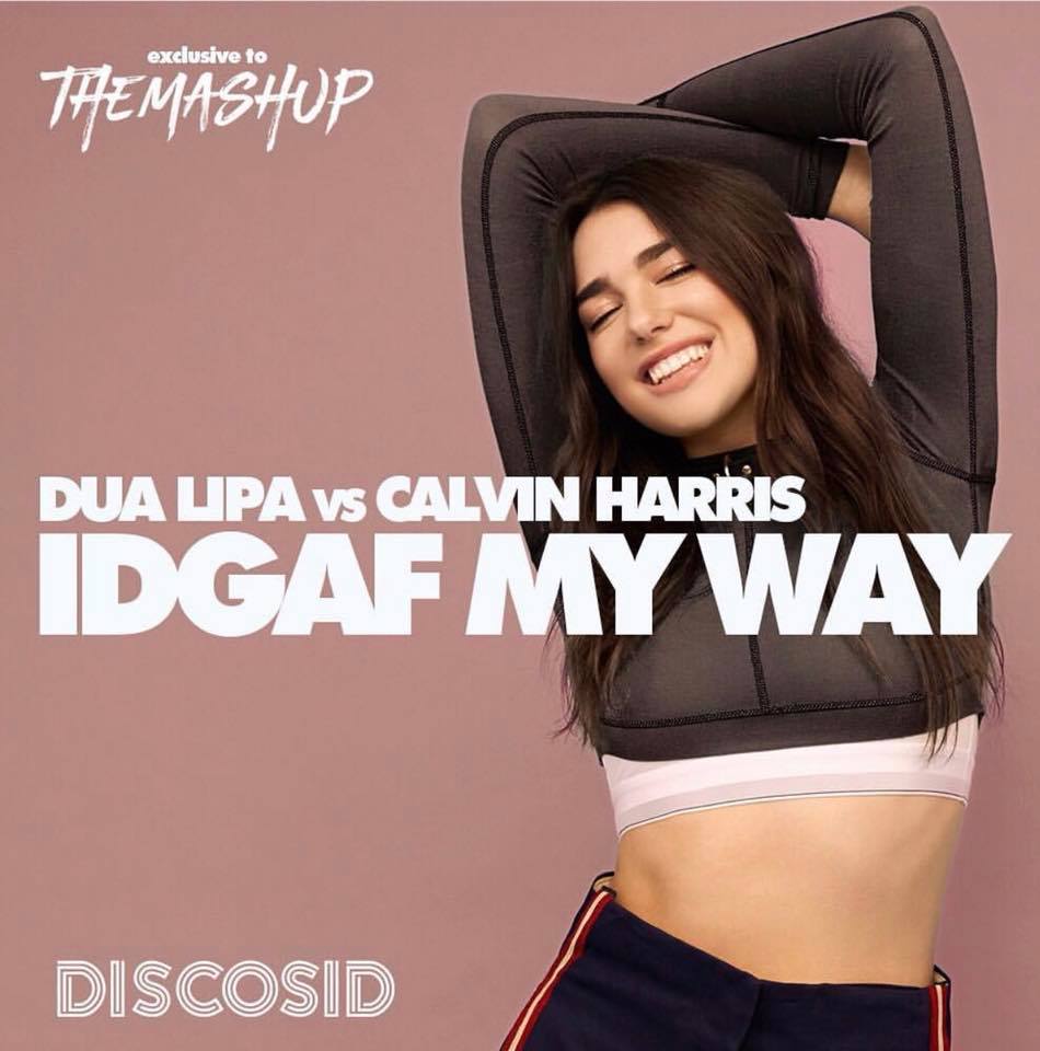 Dua Lipa Vs Calvin Harris - IDGAF My Way (Discosid Mashup)